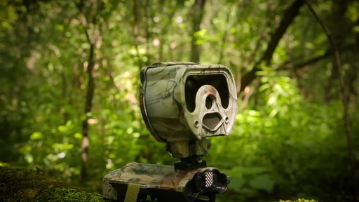 Eyecon Crossfire 7MP Invisi-Flash Trail / Game Camera Camo - image 8 from the video